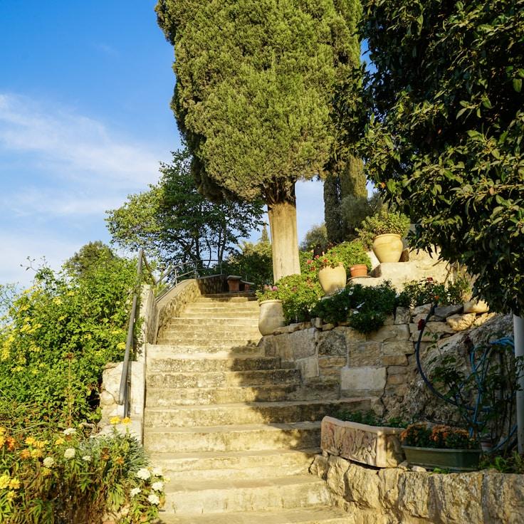 Family terraces and cafés for calm evenings in Oxford